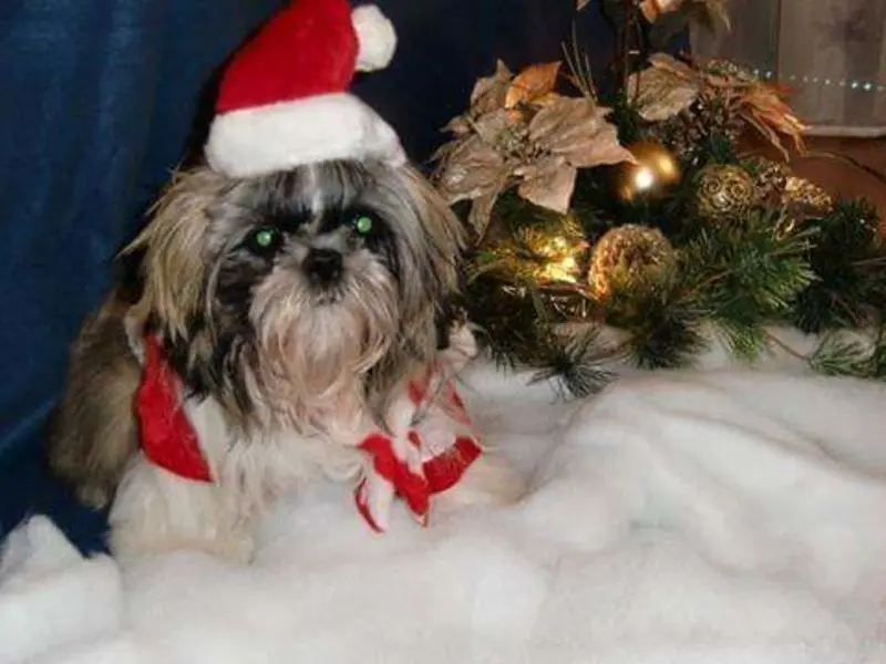 Andachtsbild von Mama