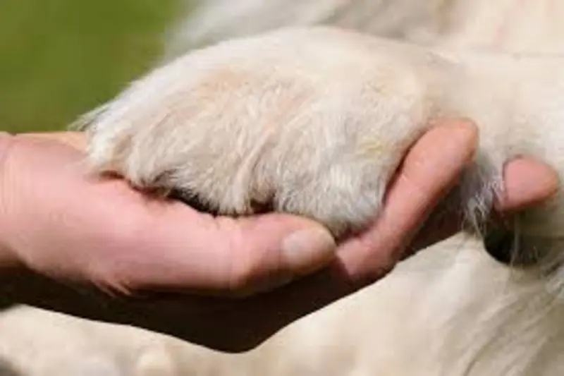 Andachtsbild von Mama