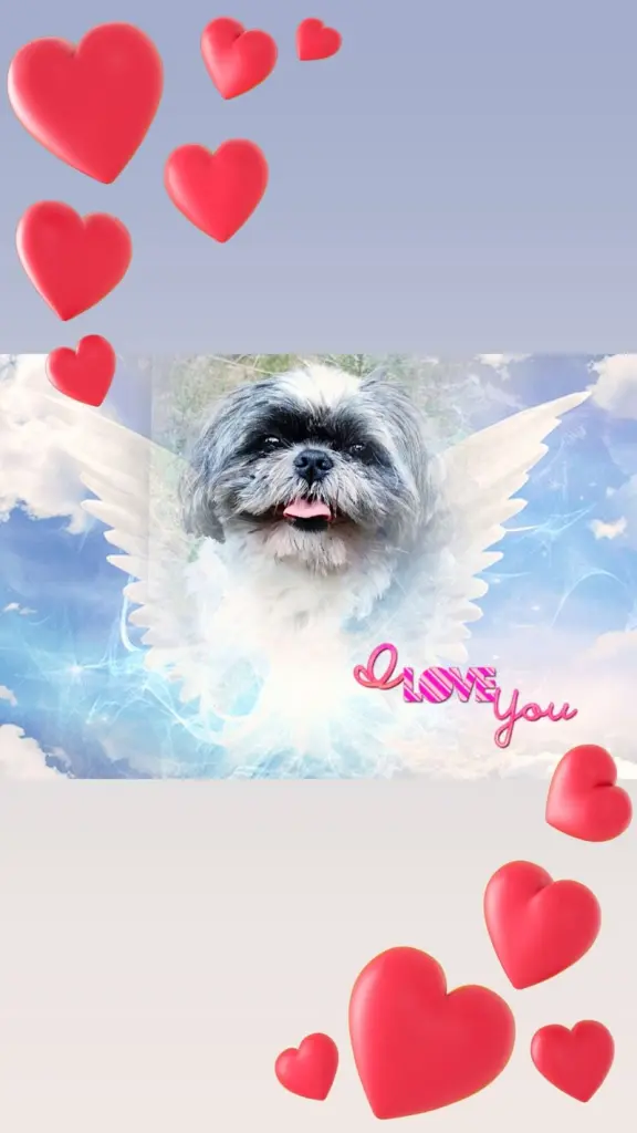 Andachtsbild von Mama