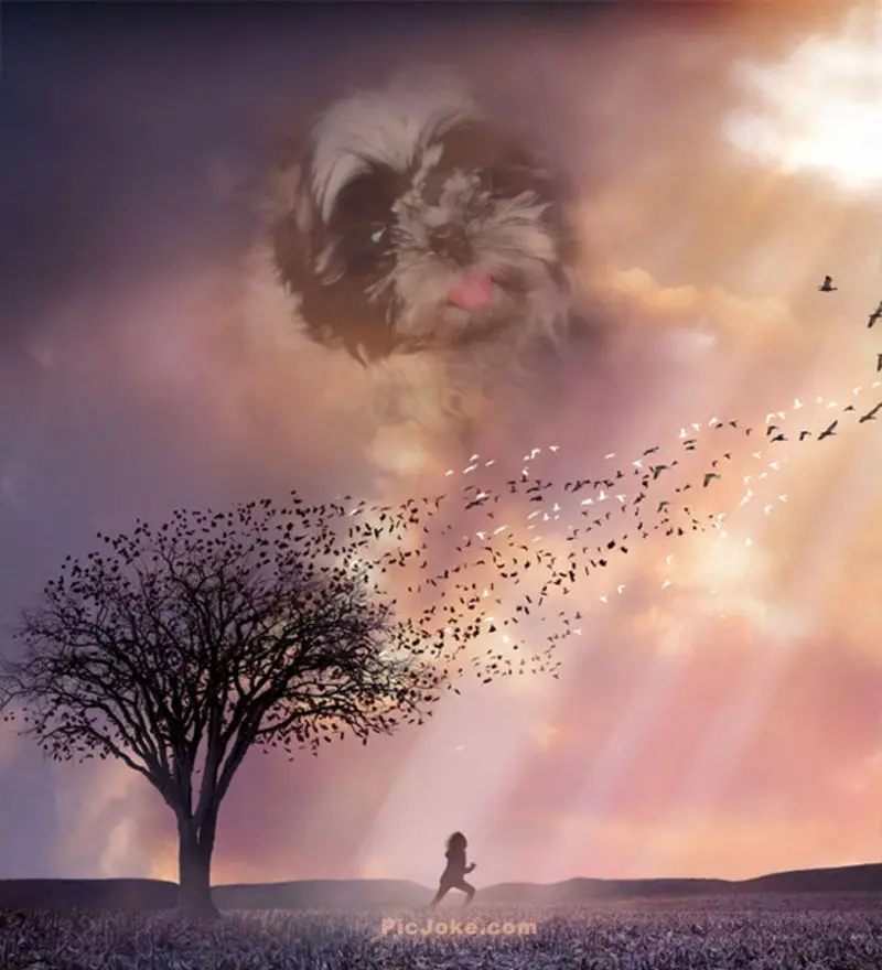 Andachtsbild von Mama