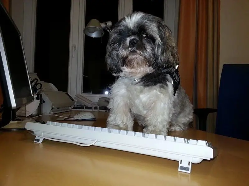 Andachtsbild von Mama