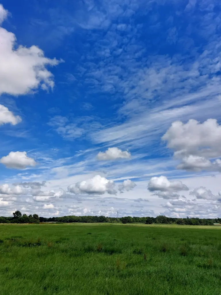 Andachtsbild von Karin  Truffel 