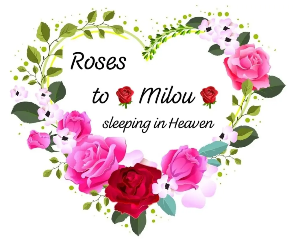 Andachtsbild von ❤️Angel watching over you ❤️