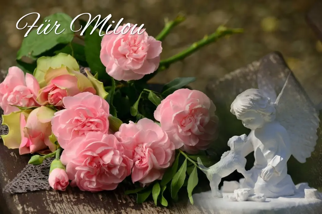 Andachtsbild von ❤️