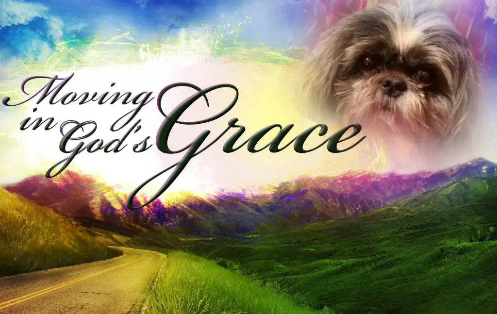 Andachtsbild von ❤️