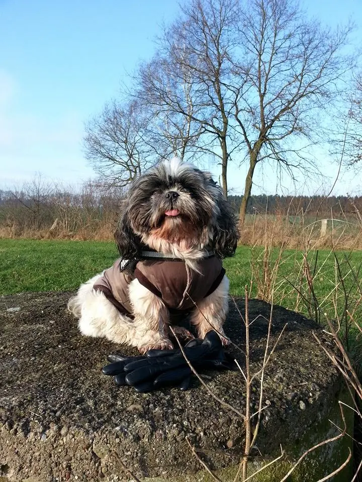 Andachtsbild von Unbekannt