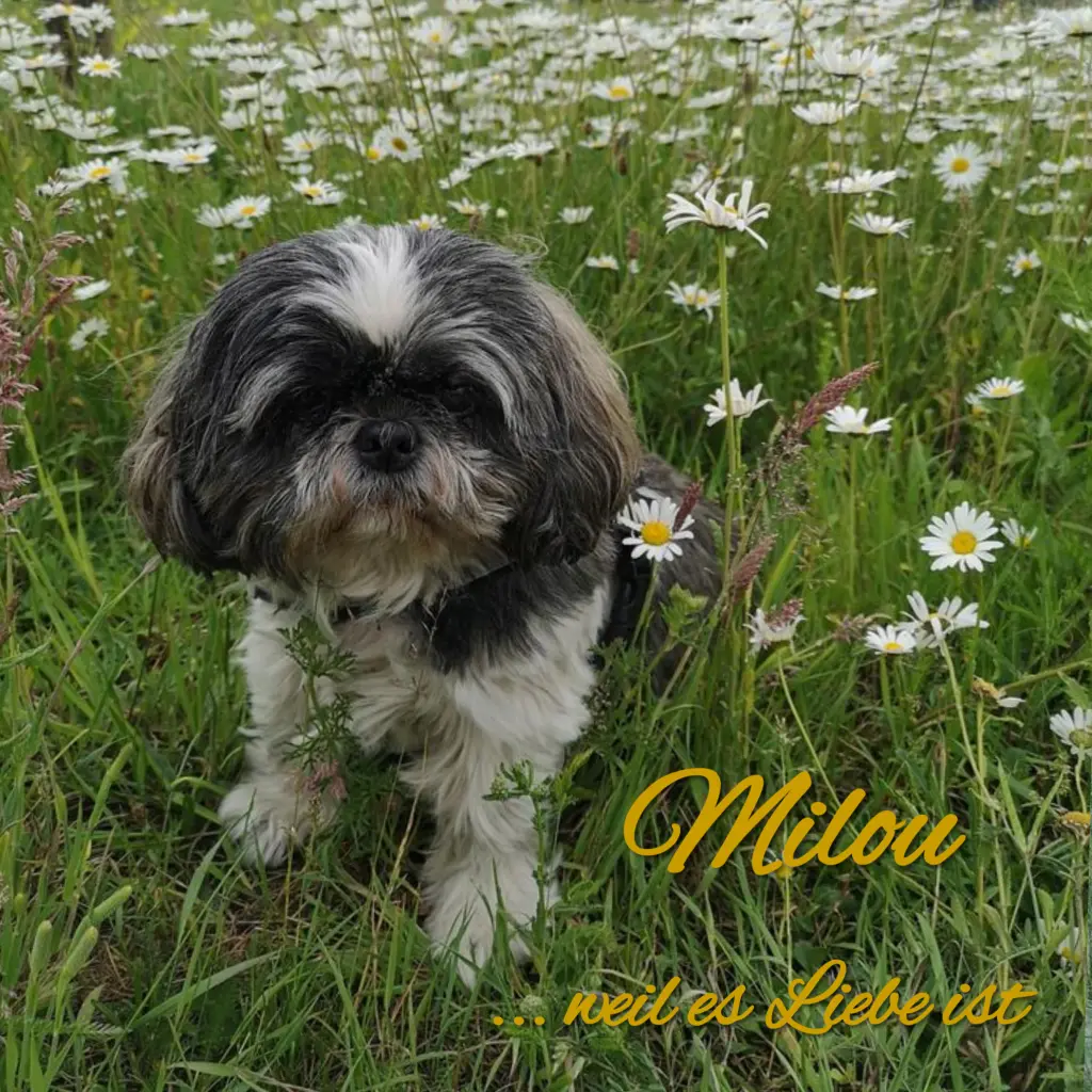 Andachtsbild von ♥️