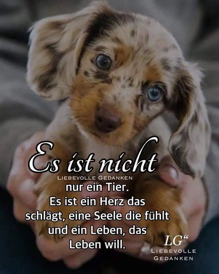 Andachtsbild von Karin Truffel