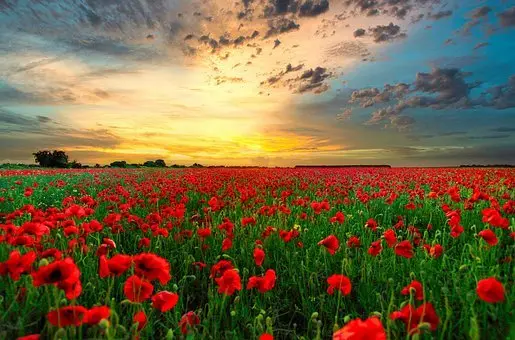 Andachtsbild von ❤️immer im Herzen❤️