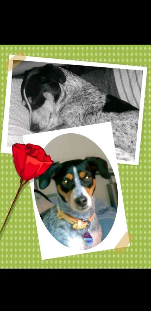Image from Easy