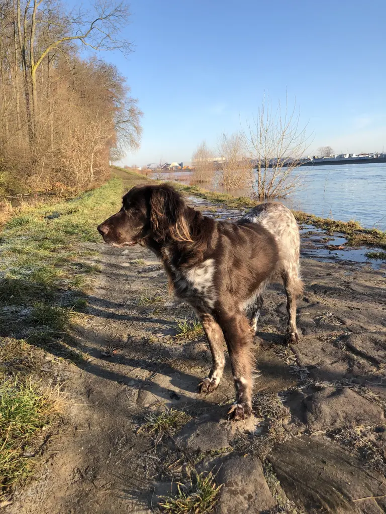 Image from Motte