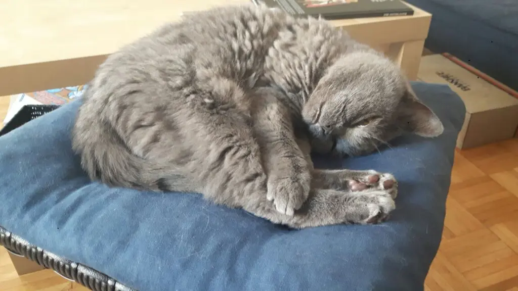 Condolence image of Oliver
