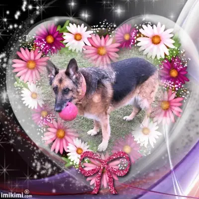 Condolence image of Fur Sarchen❤️⭐️