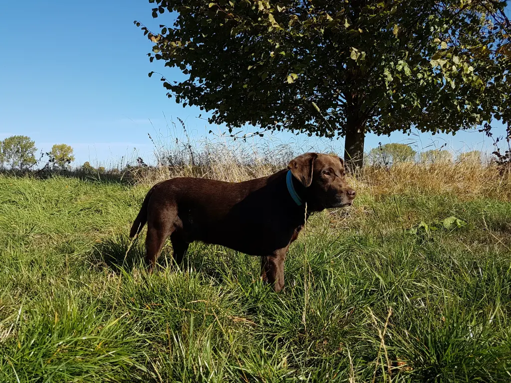 Condolence image of Silvana