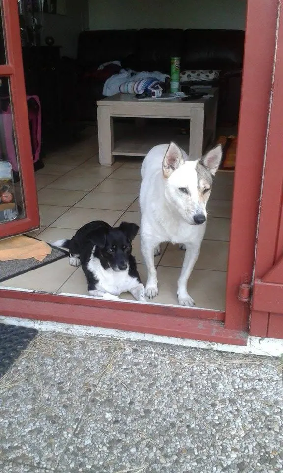 Image from Wurzel