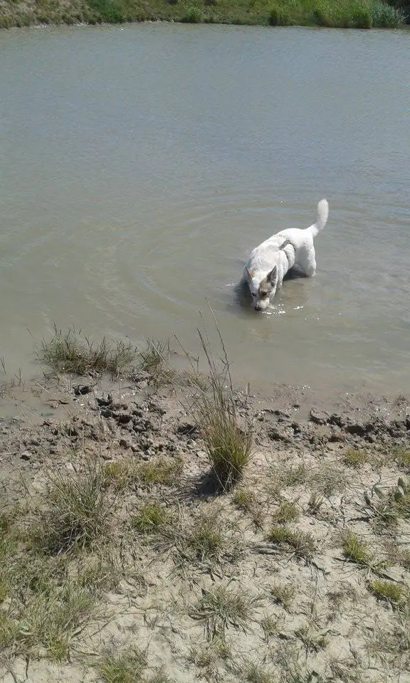 Image from Wurzel