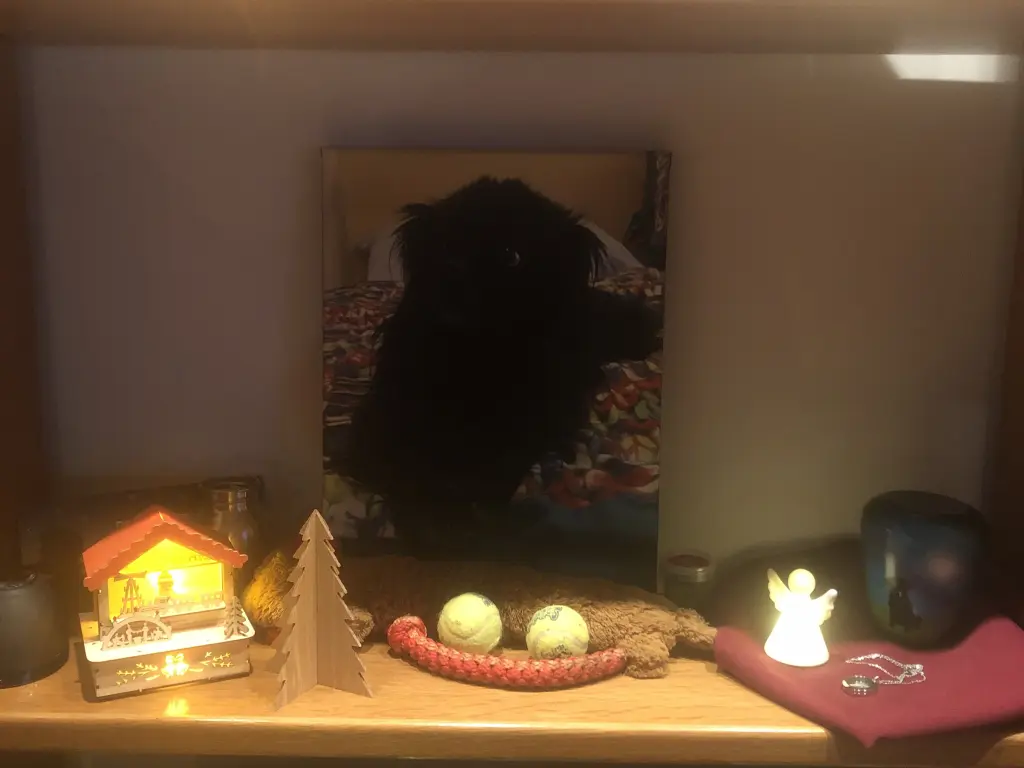 Condolence image of Mein kleiner