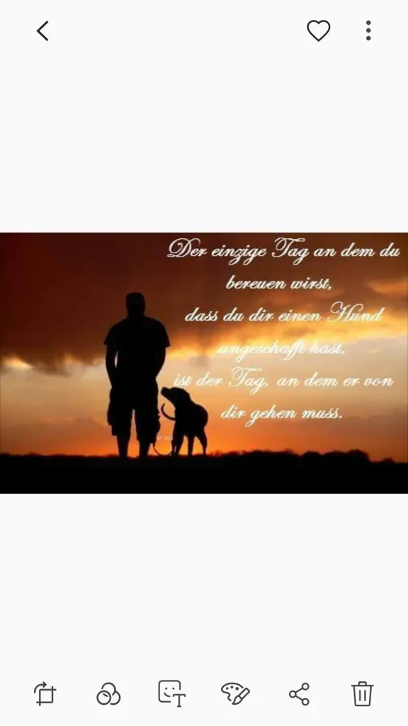 Condolence image of Anja