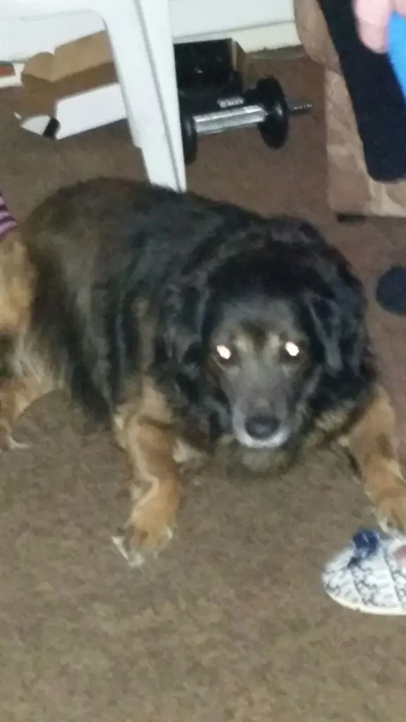 Condolence image of Natascha