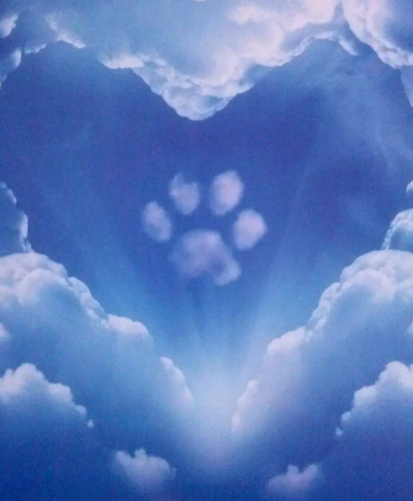 Condolence image of Bettina Vergien