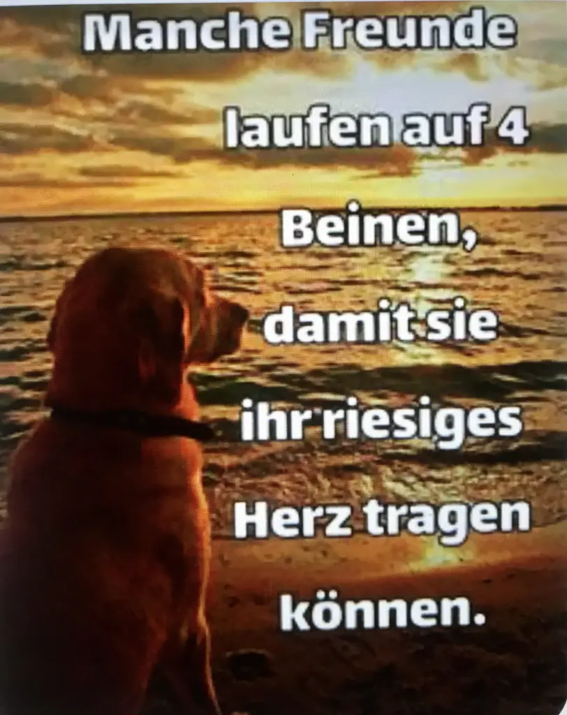 Condolence image of Elke Stachelscheid