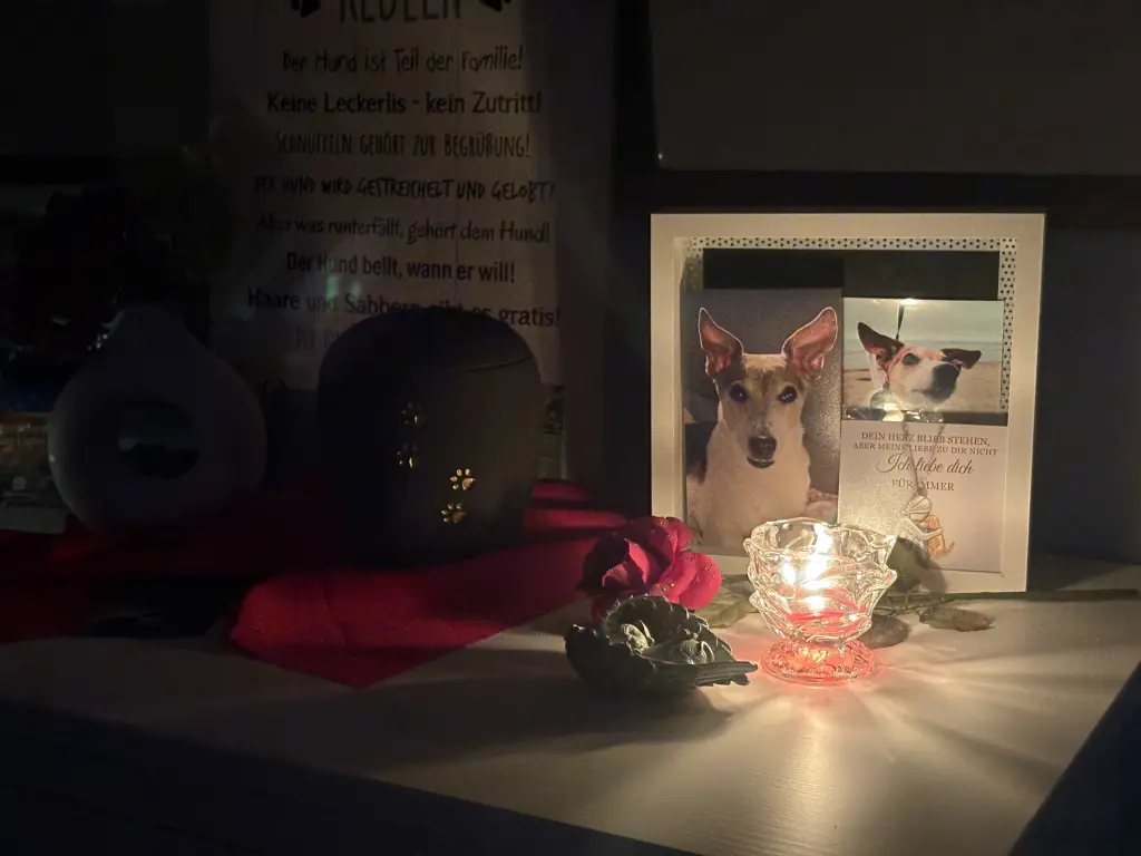 Condolence image of Mona 