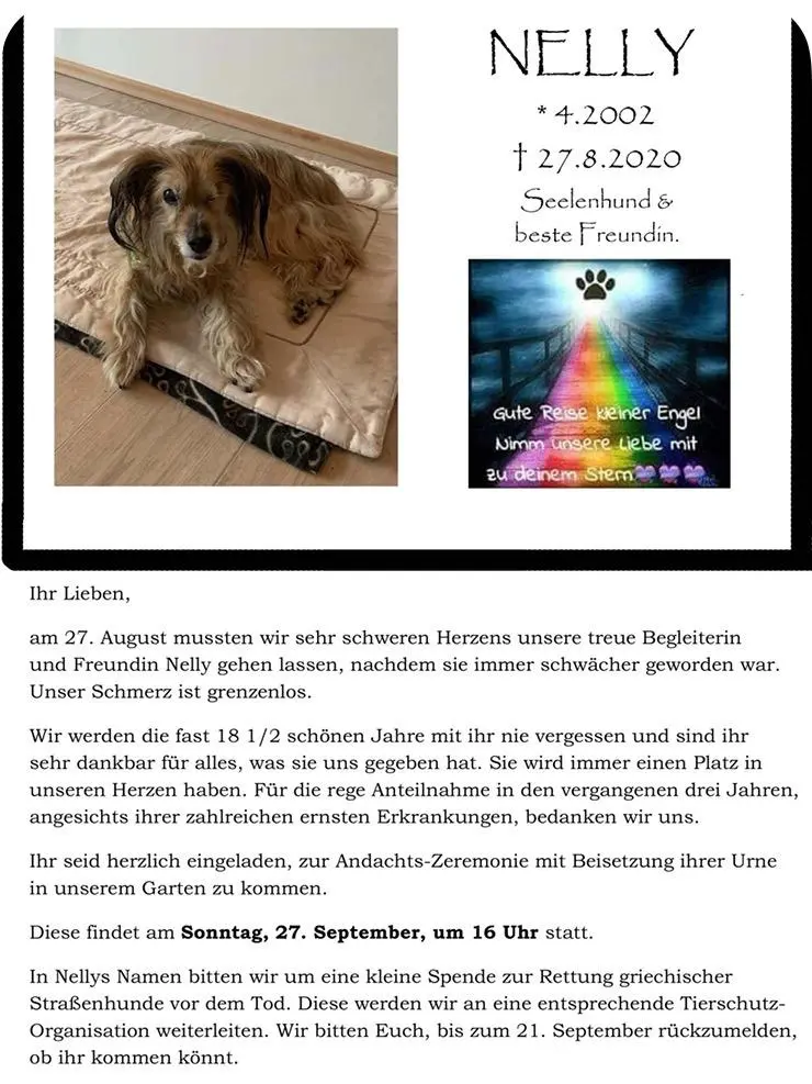 Image from Nelly