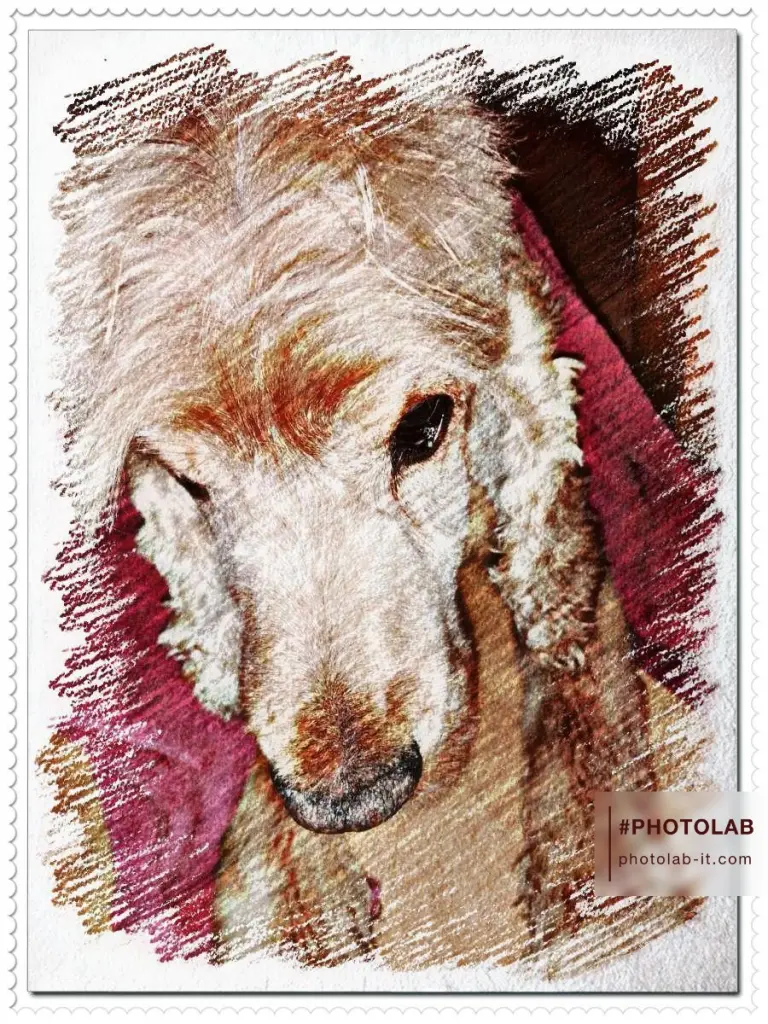 Andachtsbild von Ich