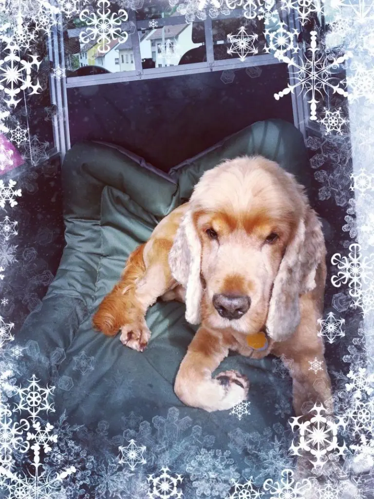 Andachtsbild von Lisa Blankenagel