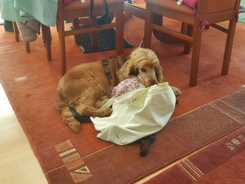 Andachtsbild von Unbekannt