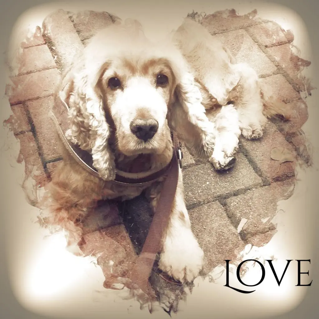 Andachtsbild von Lisa