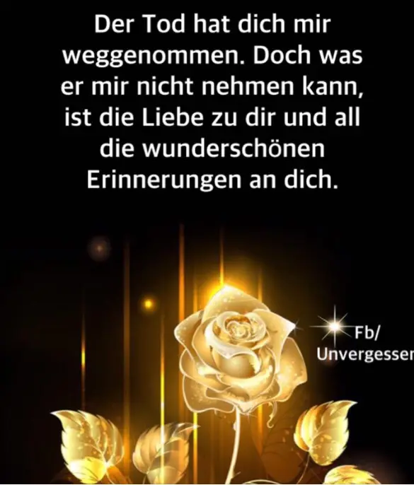 Image from Lilli