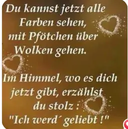 Image from Lilli