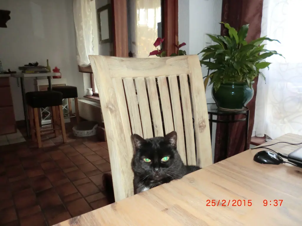 Image from Paula