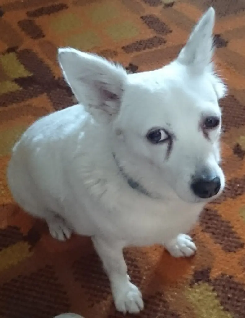 Image from Pamy