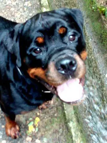 Image from Seven