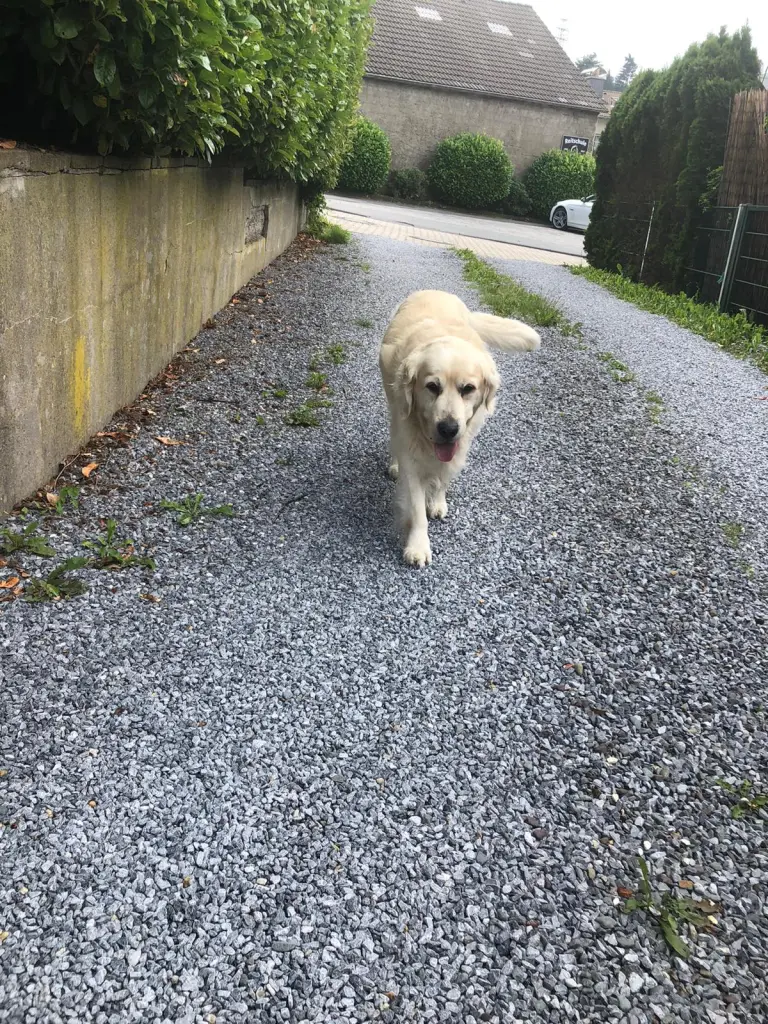 Image from Barkley 