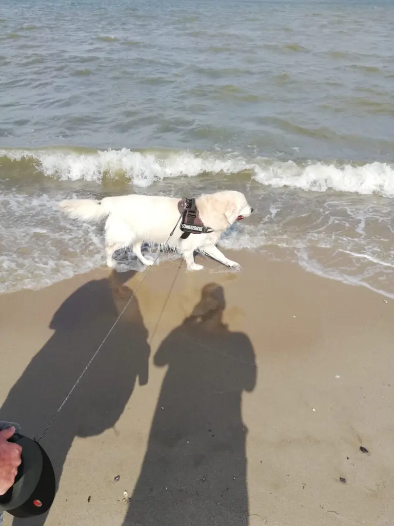 Image from Barkley