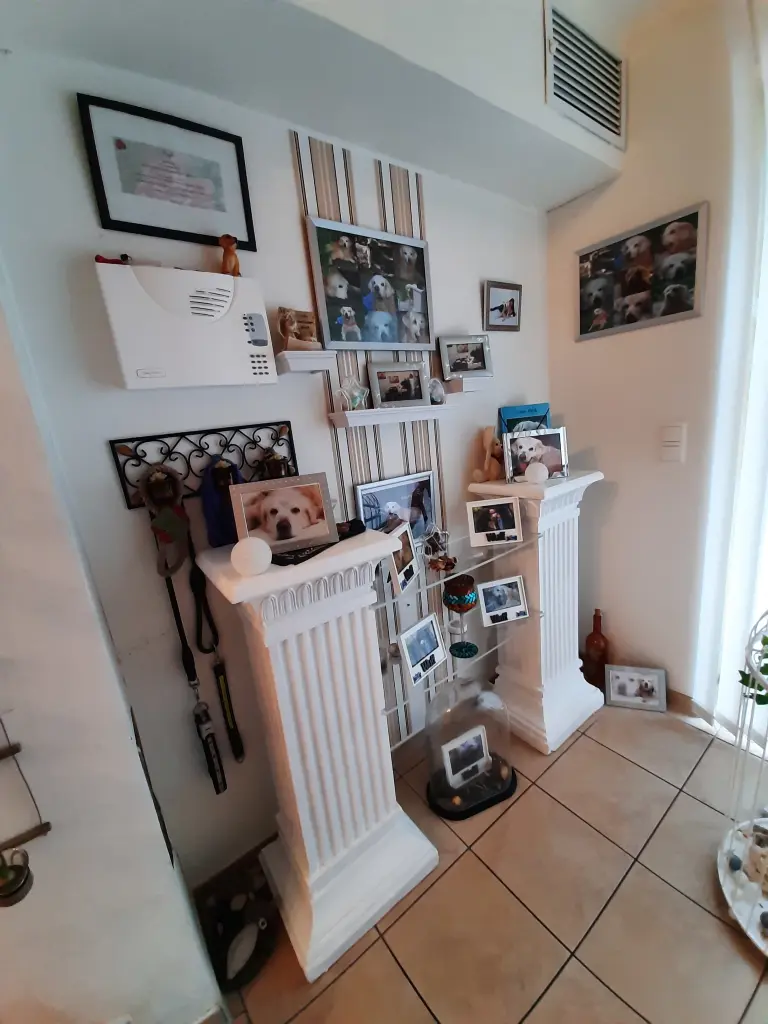 Image from Payk
