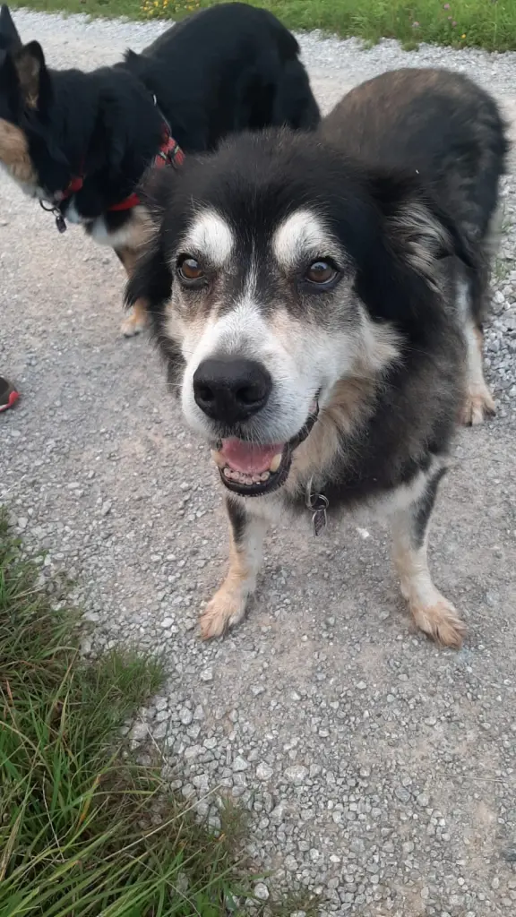 Image from Rüdi