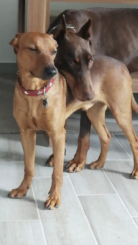 Image from Zeus