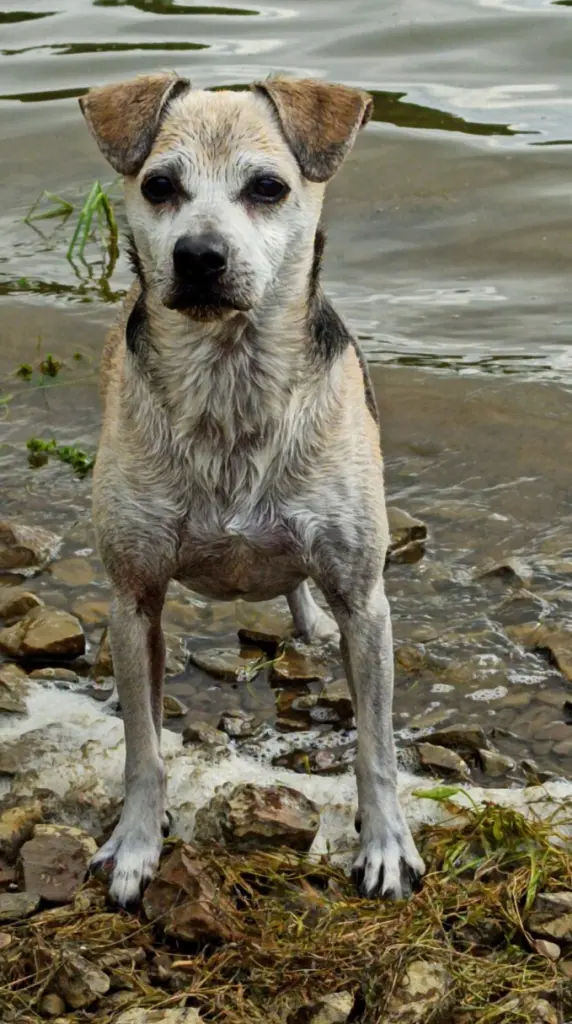 Condolence image of Jutta