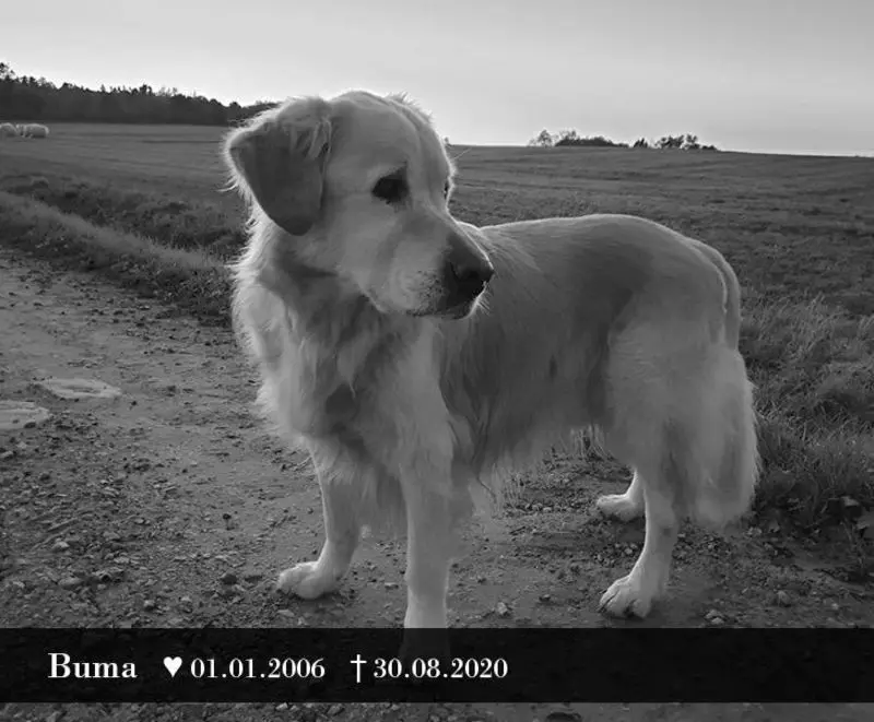 Andachtsbild von Unbekannt