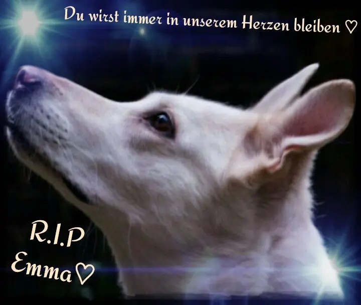 Andachtsbild von Sally