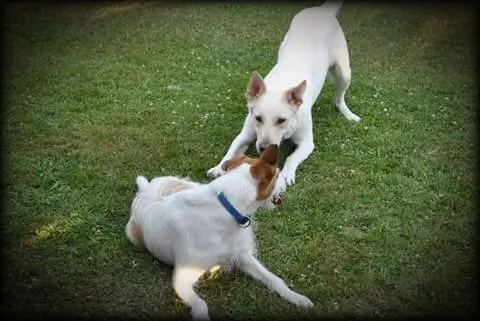 Andachtsbild von Stephanie