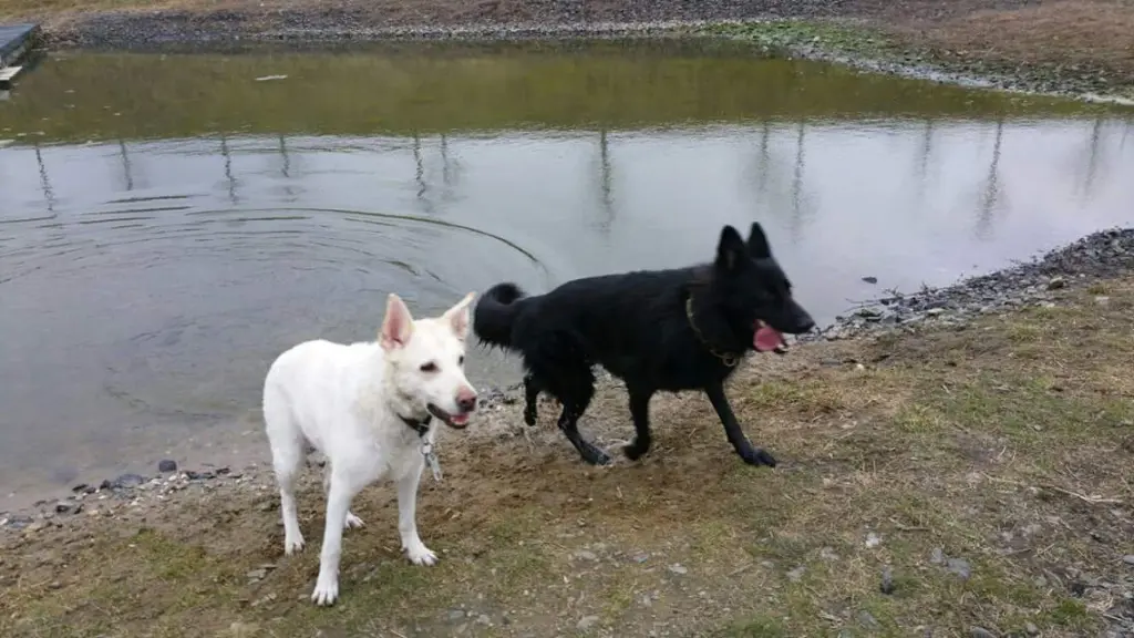 Andachtsbild von Carsten