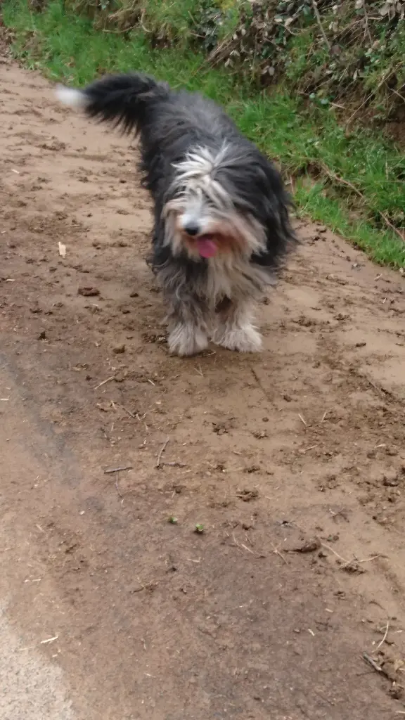 Andachtsbild von Bobby Und Caroline