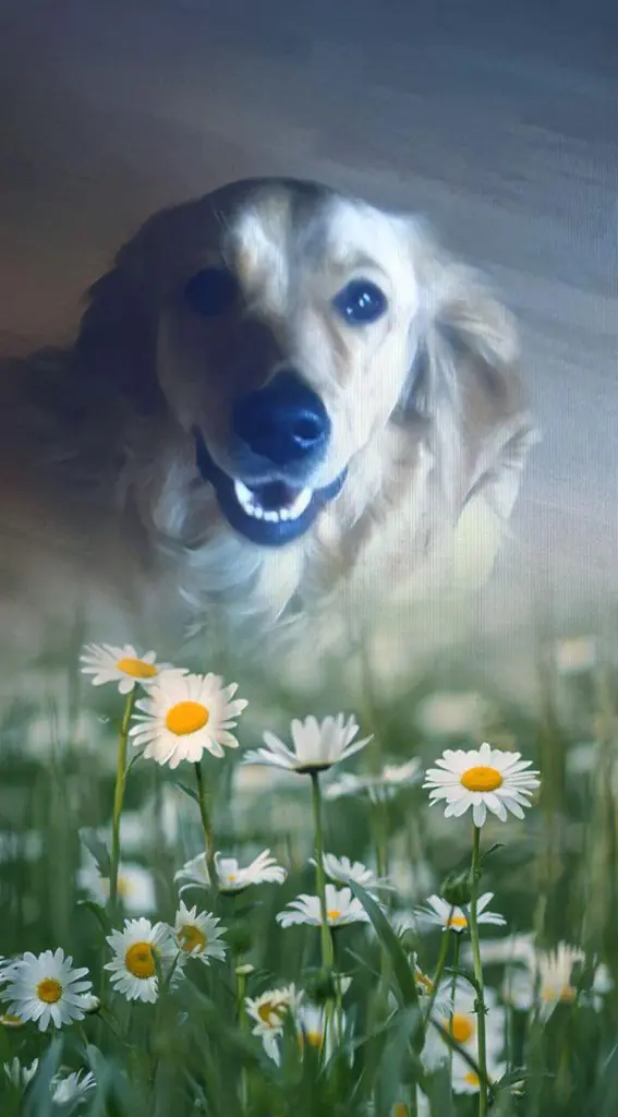 Condolence image of Ellen mit Lina ❤️