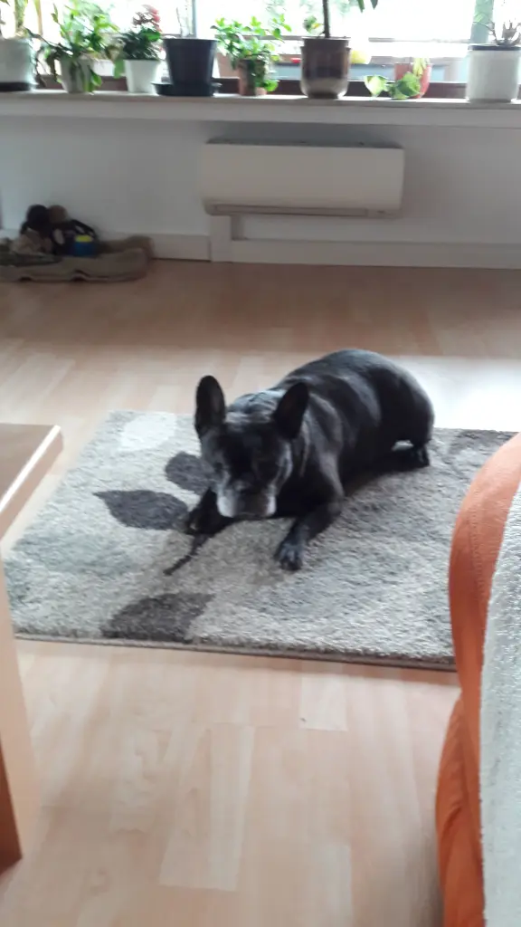 Condolence image of Unbekannt