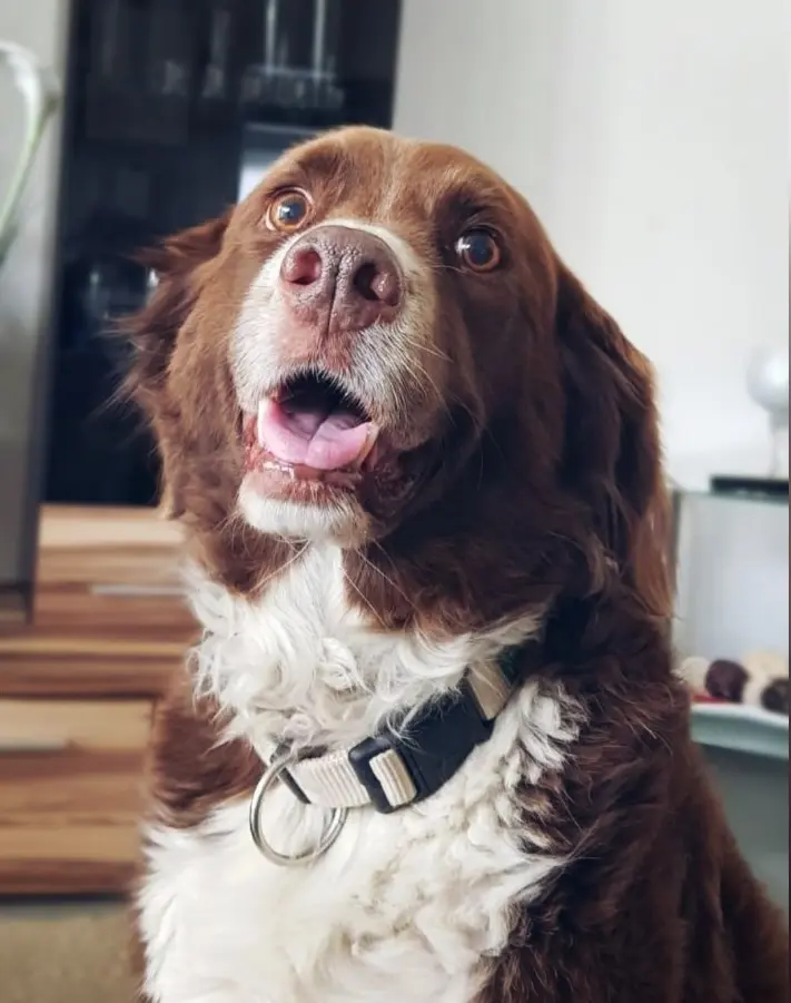 Condolence image of Marina mit Jule tief im❤ 